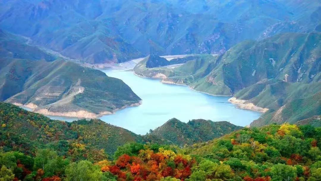 Z6·尊龙「中国区」官方网站