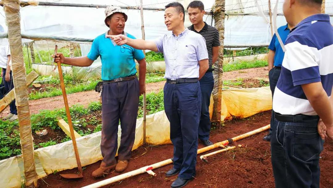 Z6·尊龙「中国区」官方网站