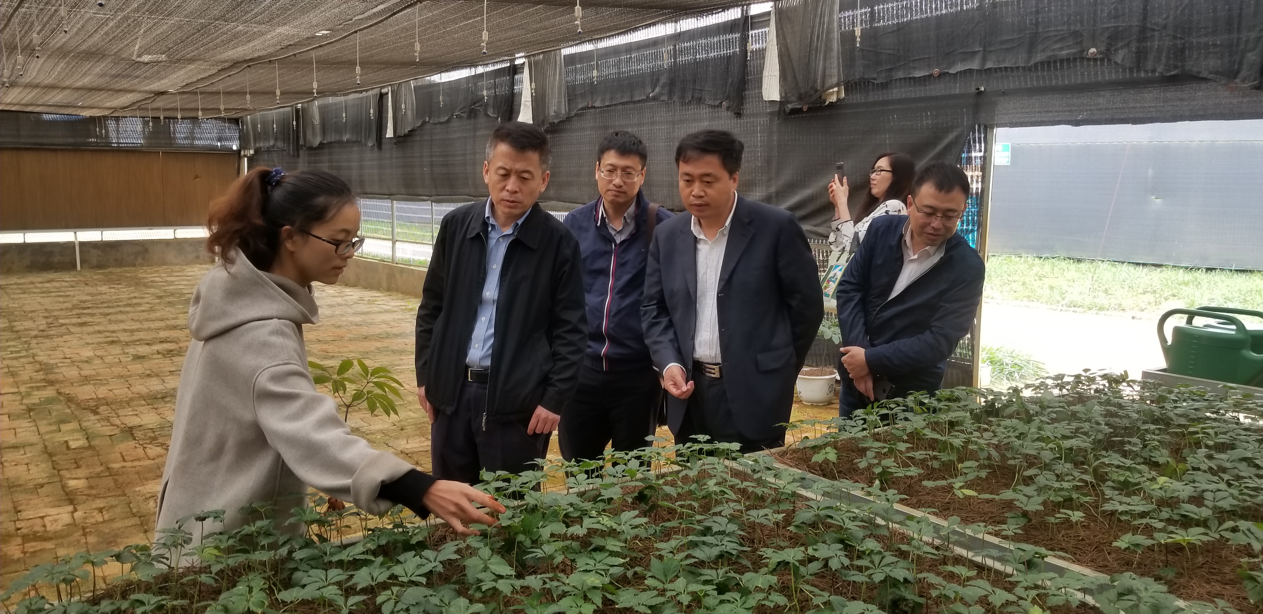 Z6·尊龙「中国区」官方网站