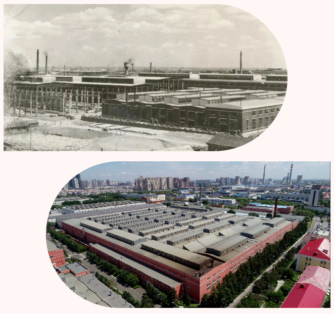 Z6·尊龙「中国区」官方网站