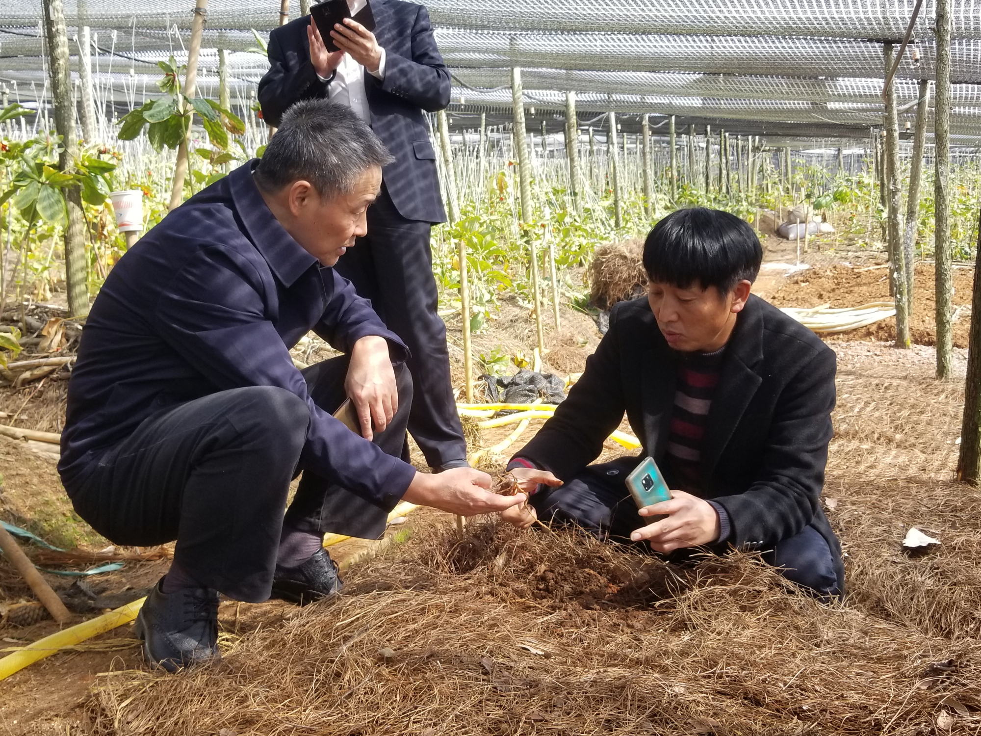 Z6·尊龙「中国区」官方网站