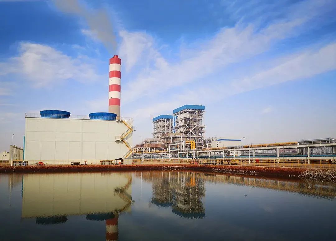 Z6·尊龙「中国区」官方网站