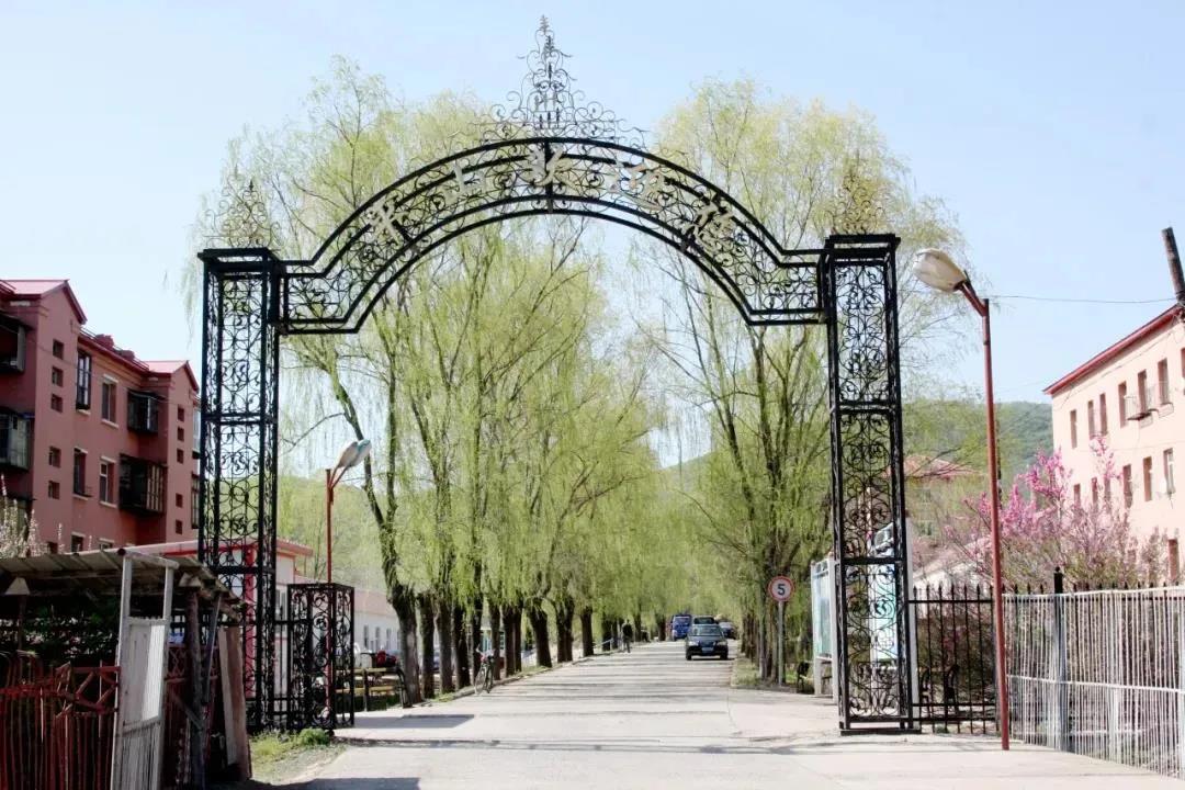 Z6·尊龙「中国区」官方网站