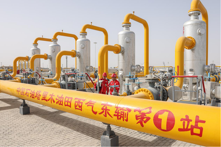 Z6·尊龙「中国区」官方网站